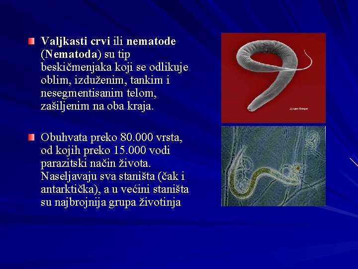 Valjkasti crvi ili nematode (Nematoda) su tip beskičmenjaka koji se odlikuje oblim, izduženim, tankim