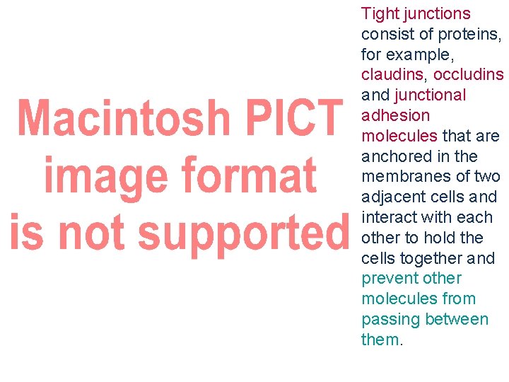 Tight junctions consist of proteins, for example, claudins, occludins and junctional adhesion molecules that