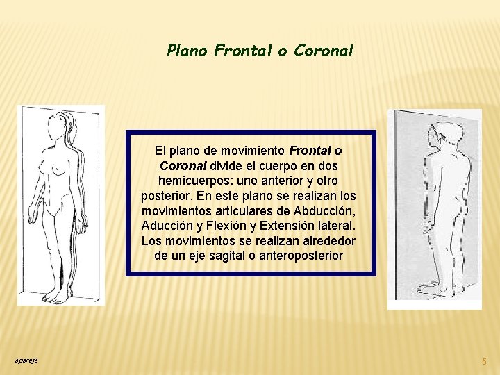 Plano Frontal o Coronal El plano de movimiento Frontal o Coronal divide el cuerpo