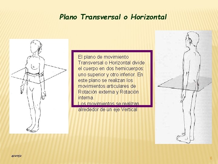 Plano Transversal o Horizontal El plano de movimiento Transversal o Horizontal divide el cuerpo