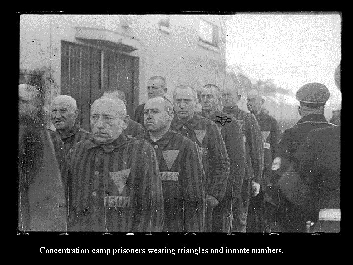 Concentration camp prisoners wearing triangles and inmate numbers. 