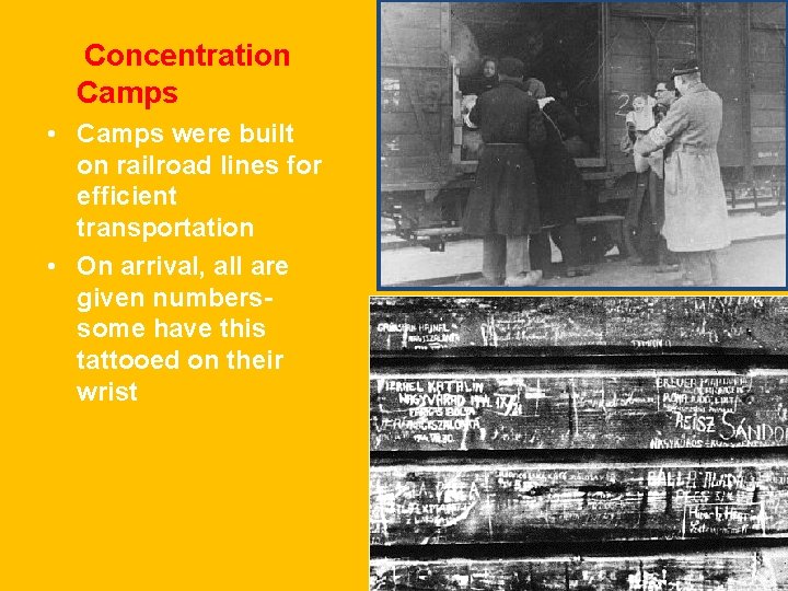 Concentration Camps • Camps were built on railroad lines for efficient transportation • On
