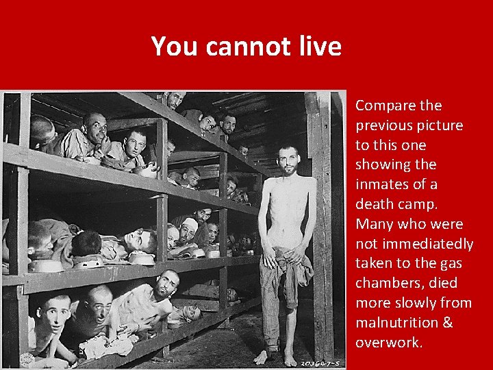 You cannot live Compare the previous picture to this one showing the inmates of