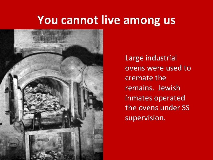 You cannot live among us Large industrial ovens were used to cremate the remains.