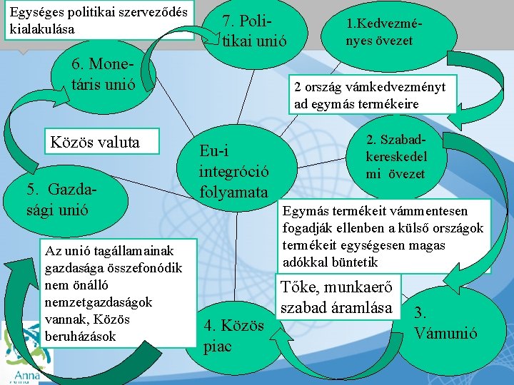 Egységes politikai szerveződés kialakulása 7. Politikai unió 6. Monetáris unió Közös valuta 5. Gazdasági