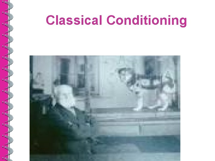 Classical Conditioning 