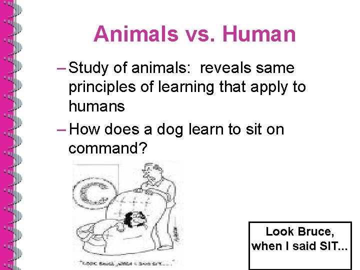 Animals vs. Human – Study of animals: reveals same principles of learning that apply