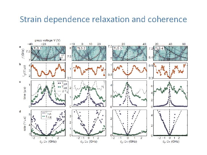Strain dependence relaxation and coherence Strain dependence relaxation and coherence