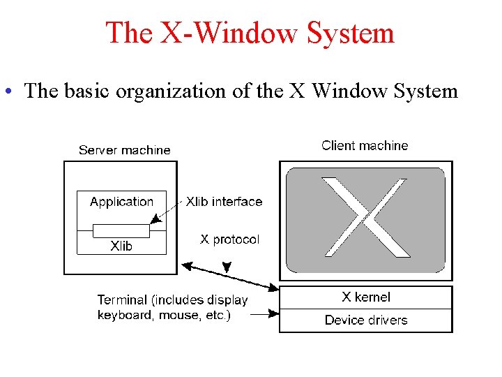 The X-Window System • The basic organization of the X Window System 