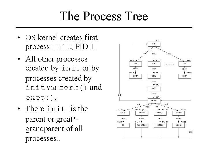 The Process Tree • OS kernel creates first process init, PID 1. • All