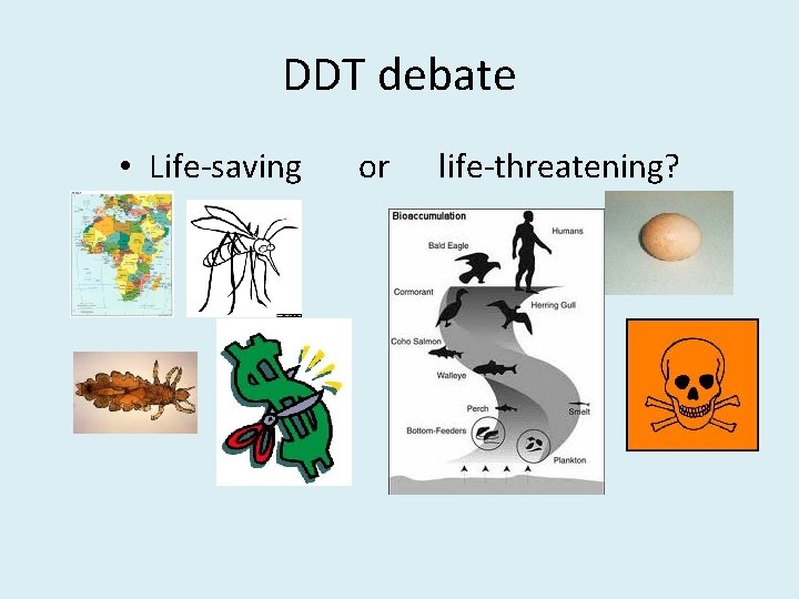 DDT debate • Life-saving or life-threatening? DDT debate • Life-saving or life-threatening?