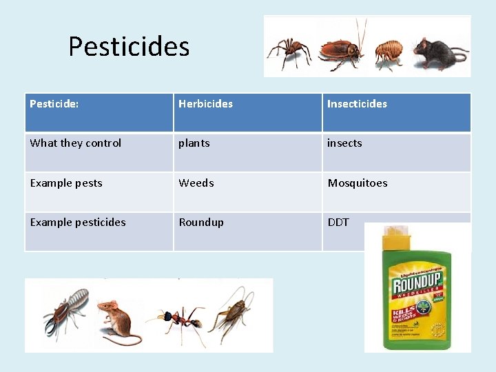 Pesticides Pesticide: Herbicides Insecticides What they control plants insects Example pests Weeds Mosquitoes Example Pesticides Pesticide: Herbicides Insecticides What they control plants insects Example pests Weeds Mosquitoes Example