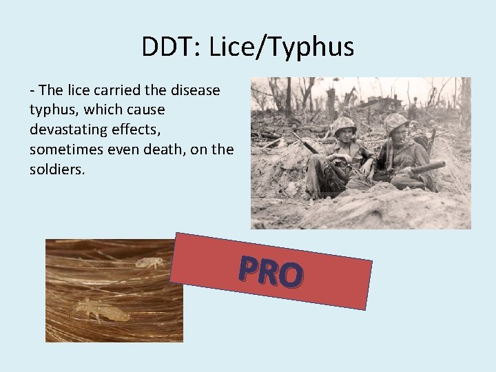 DDT: Lice/Typhus - The lice carried the disease typhus, which cause devastating effects, sometimes DDT: Lice/Typhus - The lice carried the disease typhus, which cause devastating effects, sometimes