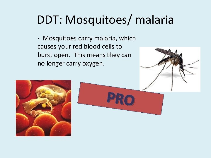 DDT: Mosquitoes/ malaria - Mosquitoes carry malaria, which causes your red blood cells to DDT: Mosquitoes/ malaria - Mosquitoes carry malaria, which causes your red blood cells to