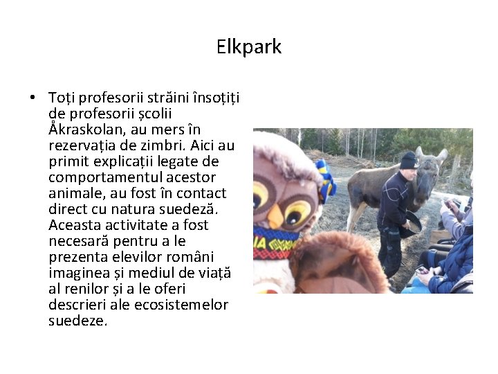 Elkpark • Toți profesorii străini însoțiți de profesorii școlii Åkraskolan, au mers în rezervația