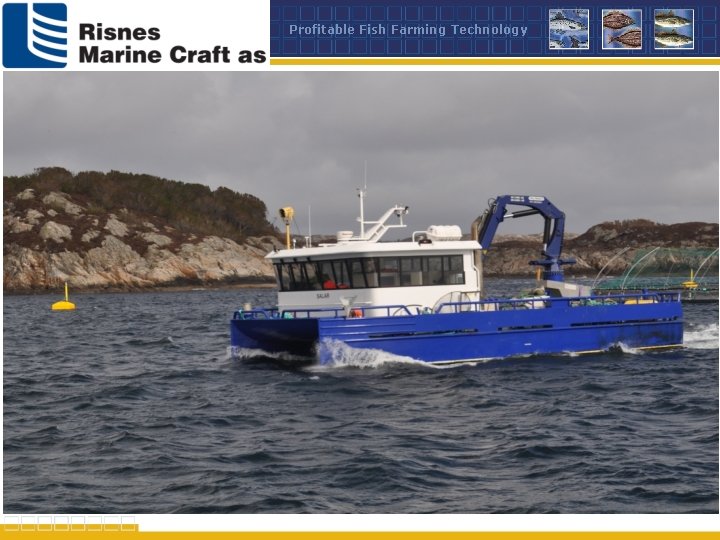 Profitable Fish Farming Technology 