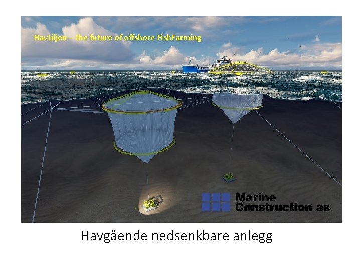 Hav. Liljen – the future of offshore Fish. Farming Havgående nedsenkbare anlegg 