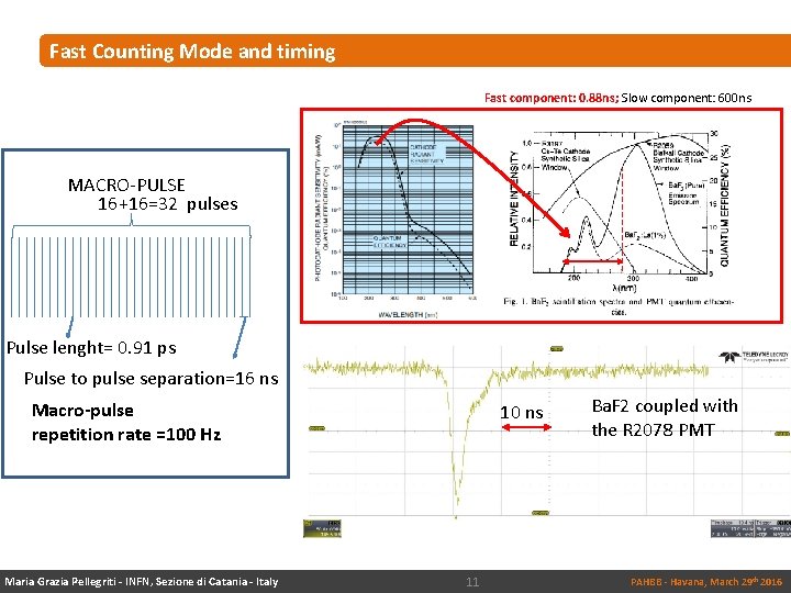 Fast Counting Mode and timing Fast component: 0. 88 ns; Slow component: 600 ns