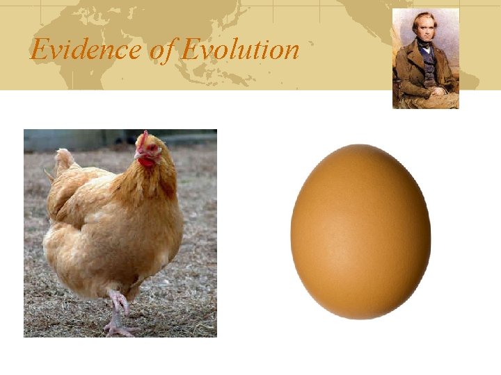 Evidence of Evolution 