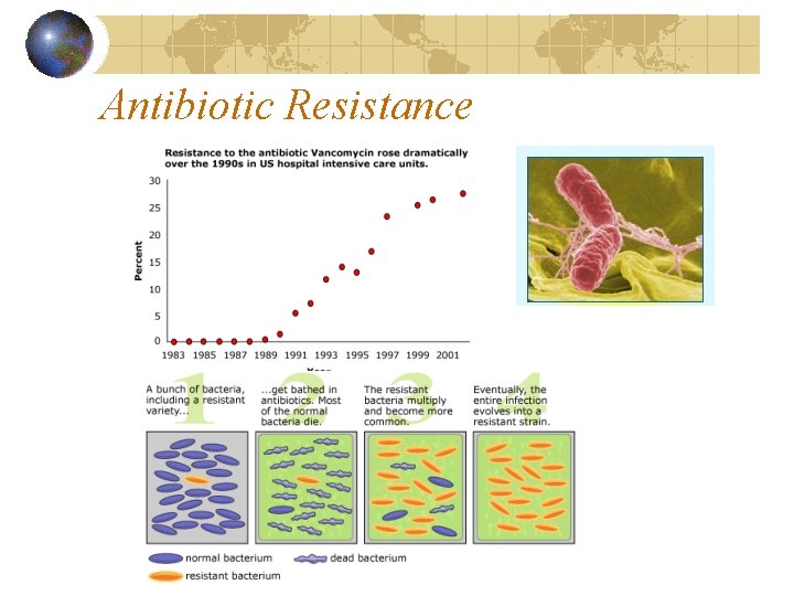 Antibiotic Resistance 