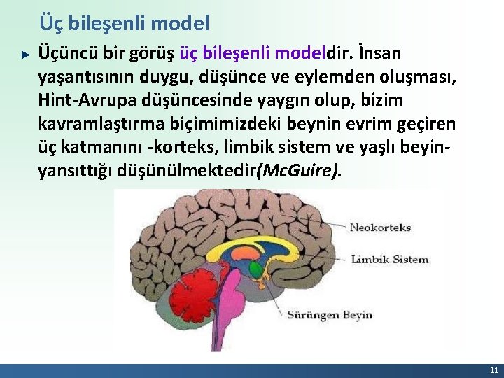 Üç bileşenli model Üçüncü bir görüş üç bileşenli modeldir. İnsan yaşantısının duygu, düşünce ve