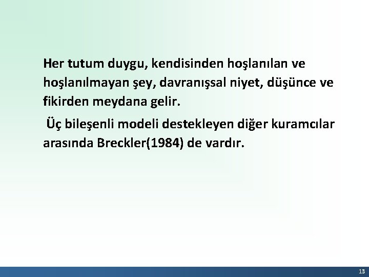 Her tutum duygu, kendisinden hoşlanılan ve hoşlanılmayan şey, davranışsal niyet, düşünce ve fikirden meydana