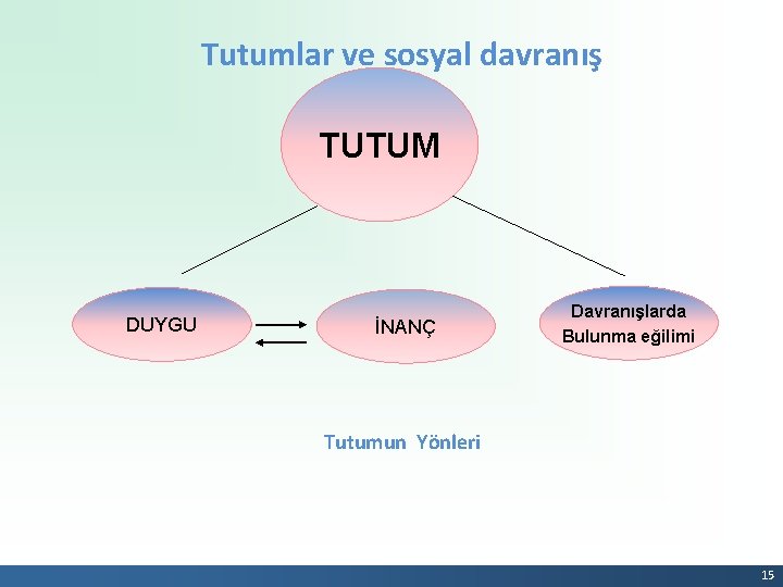 Tutumlar ve sosyal davranış TUTUM DUYGU İNANÇ Davranışlarda Bulunma eğilimi Tutumun Yönleri 15 