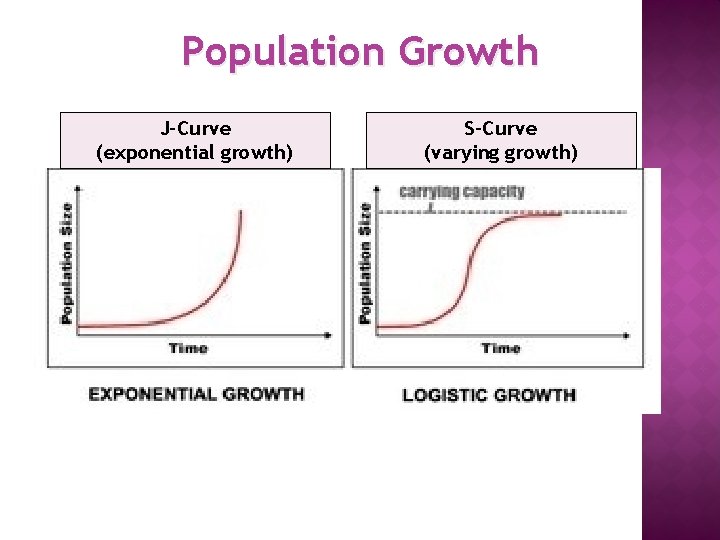Population Growth J-Curve (exponential growth) S-Curve (varying growth) 