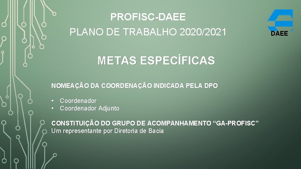 PROFISC-DAEE PLANO DE TRABALHO 2020/2021 METAS ESPECÍFICAS NOMEAÇÃO DA COORDENAÇÃO INDICADA PELA DPO •