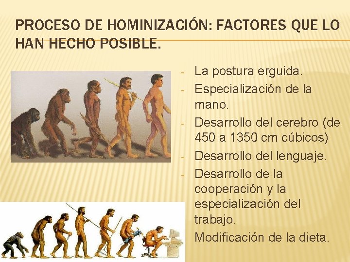 PROCESO DE HOMINIZACIÓN: FACTORES QUE LO HAN HECHO POSIBLE. - - La postura erguida.