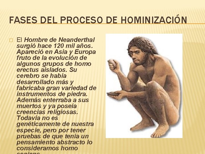 FASES DEL PROCESO DE HOMINIZACIÓN � El Hombre de Neanderthal surgió hace 120 mil