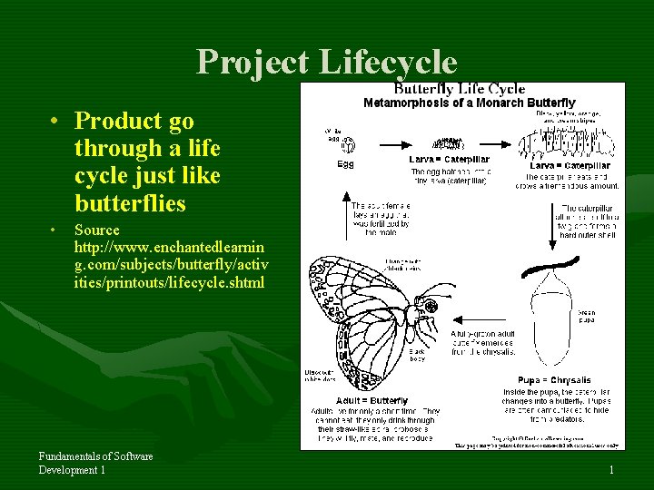 Project Lifecycle • Product go through a life cycle just like butterflies • Source
