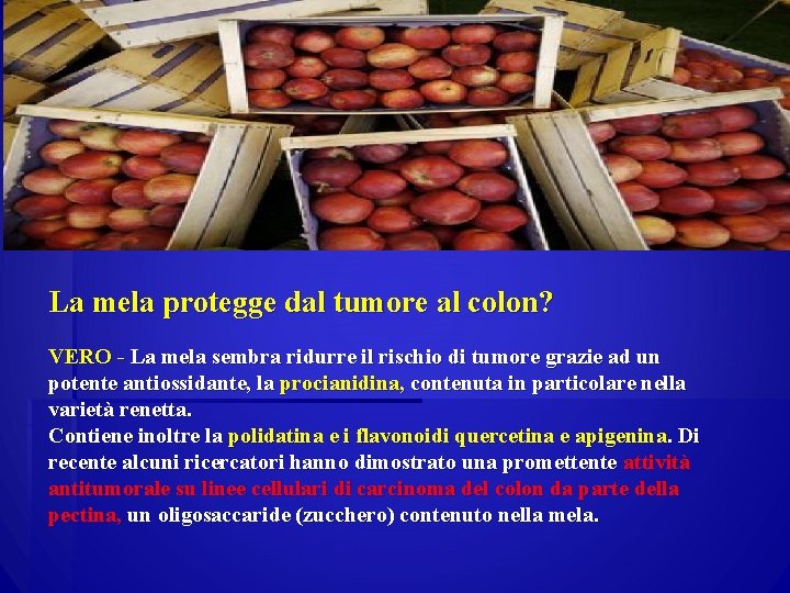 La mela protegge dal tumore al colon? VERO - La mela sembra ridurre il