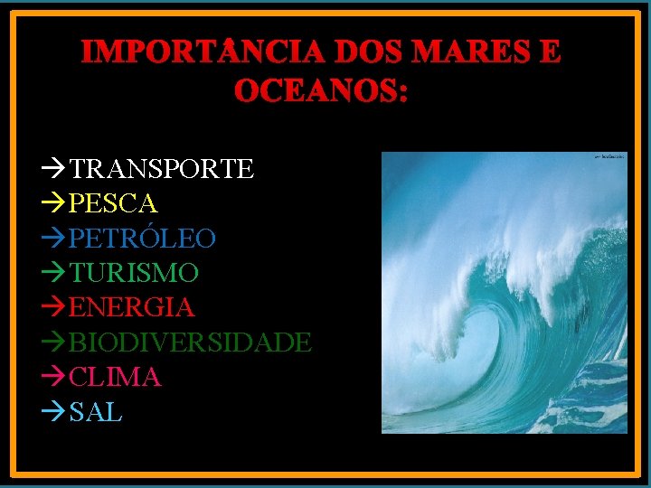 IMPORT NCIA DOS MARES E OCEANOS: TRANSPORTE PESCA PETRÓLEO TURISMO ENERGIA BIODIVERSIDADE CLIMA SAL