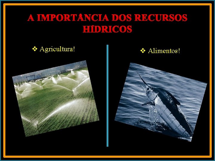 A IMPORT NCIA DOS RECURSOS HÍDRICOS v Agricultura! v Alimentos! 