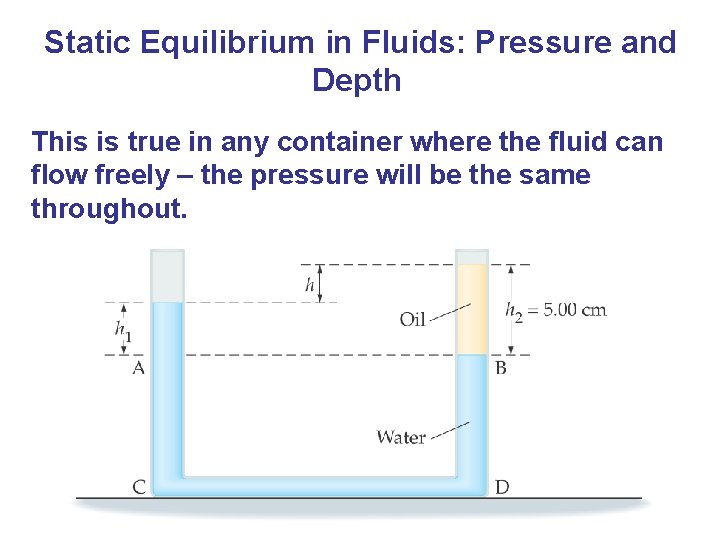 Static Equilibrium in Fluids: Pressure and Depth This is true in any container where