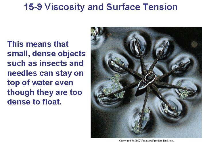 15 -9 Viscosity and Surface Tension This means that small, dense objects such as