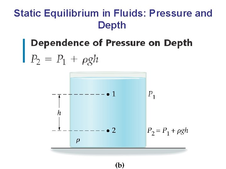 Static Equilibrium in Fluids: Pressure and Depth 