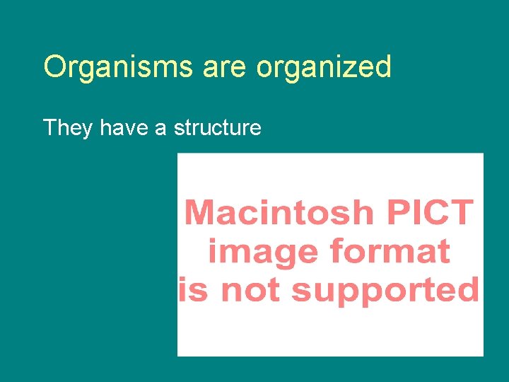 Organisms are organized They have a structure 
