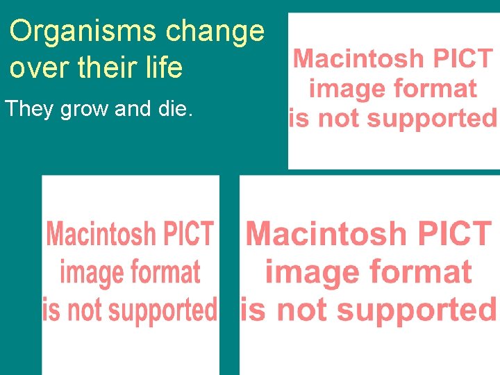 Organisms change over their life They grow and die. 