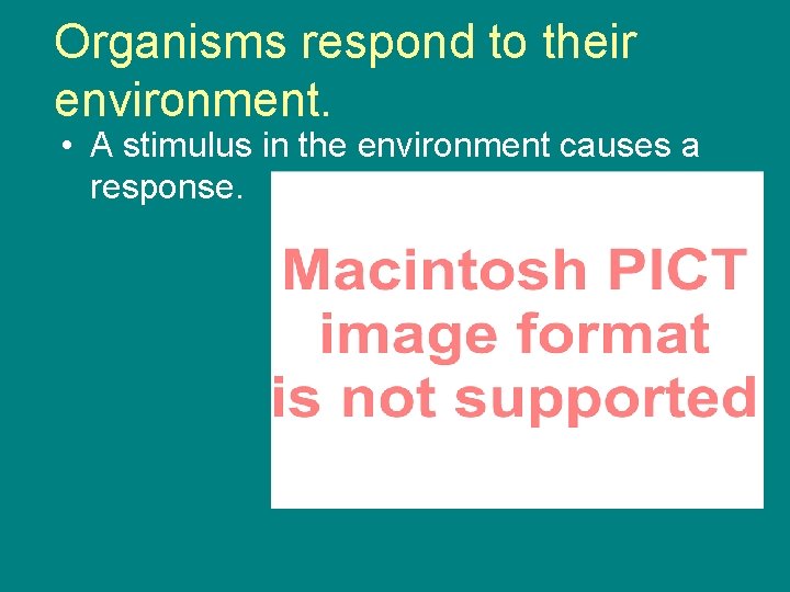 Organisms respond to their environment. • A stimulus in the environment causes a response.