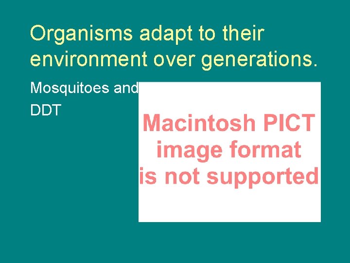 Organisms adapt to their environment over generations. Mosquitoes and DDT 