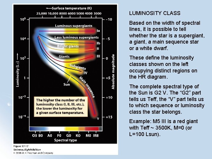 LUMINOSITY CLASS Based on the width of spectral lines, it is possible to tell