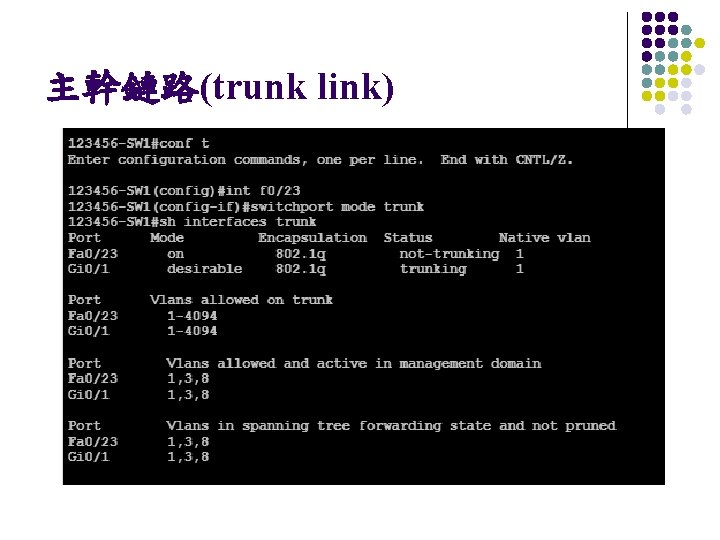 主幹鏈路(trunk link) 