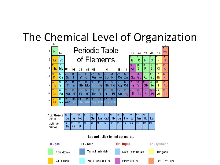 The Chemical Level of Organization 