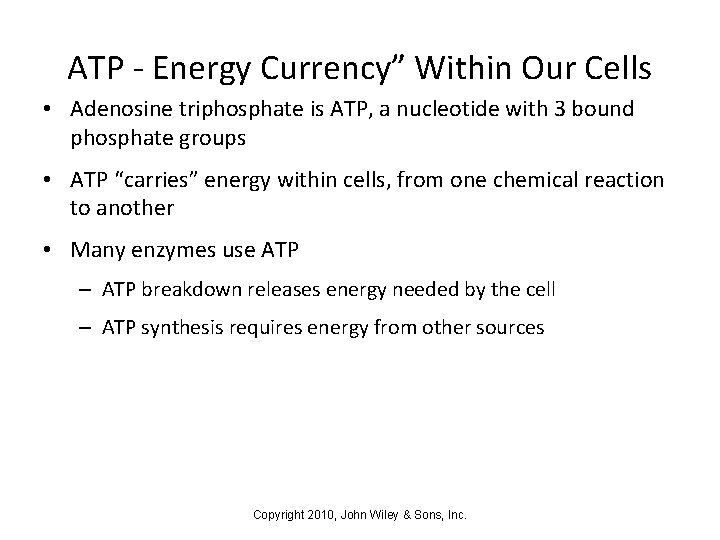 ATP - Energy Currency” Within Our Cells • Adenosine triphosphate is ATP, a nucleotide