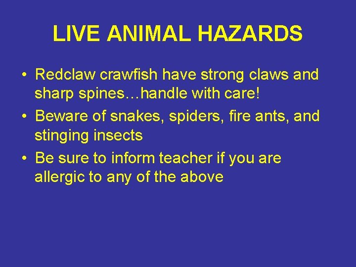 LIVE ANIMAL HAZARDS • Redclaw crawfish have strong claws and sharp spines…handle with care!