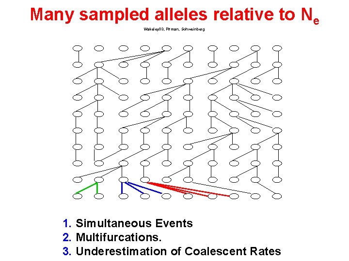 Many sampled alleles relative to Ne Wakeley 03, Pitman, Schweinberg 1. Simultaneous Events 2.