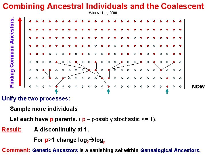 Combining Ancestral Individuals and the Coalescent Finding Common Ancestors. Wiuf & Hein, 2000. NOW