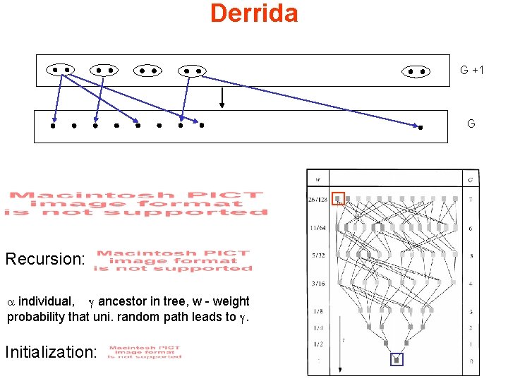 Derrida G +1 G Recursion: a individual, g ancestor in tree, w - weight